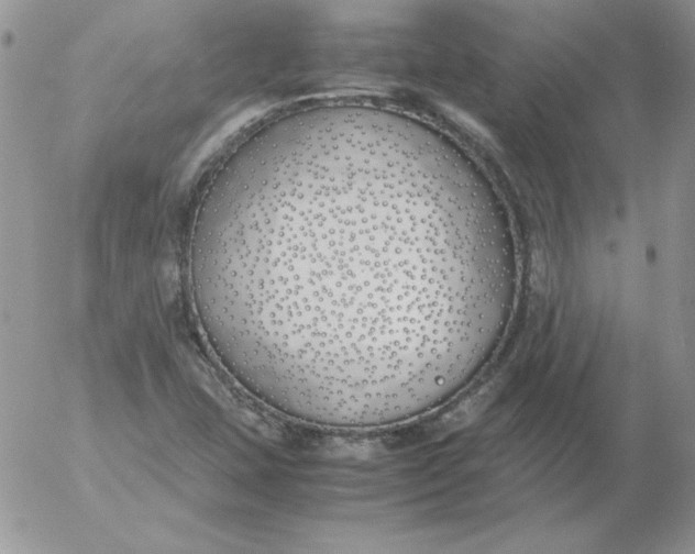 X0000055511407200509022046