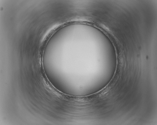 X0000055511408200509022046