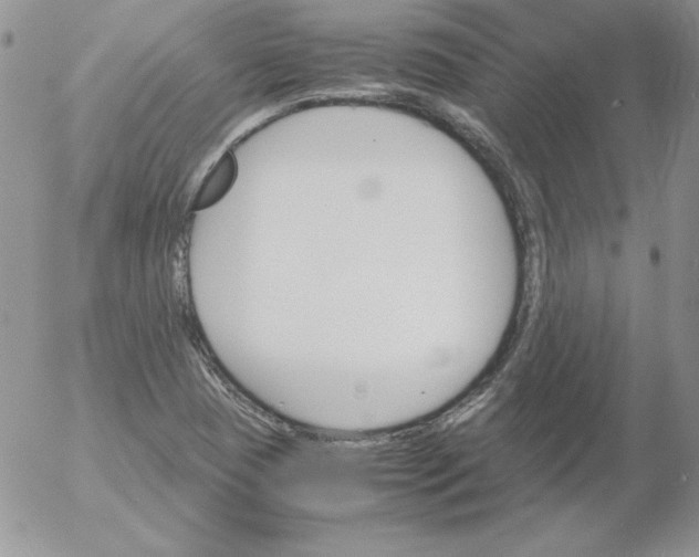 X0000055511409200509022046