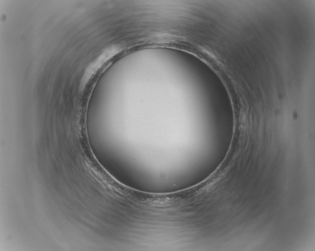 X0000055511410200509022046