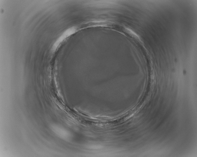 X0000055511411200509022046