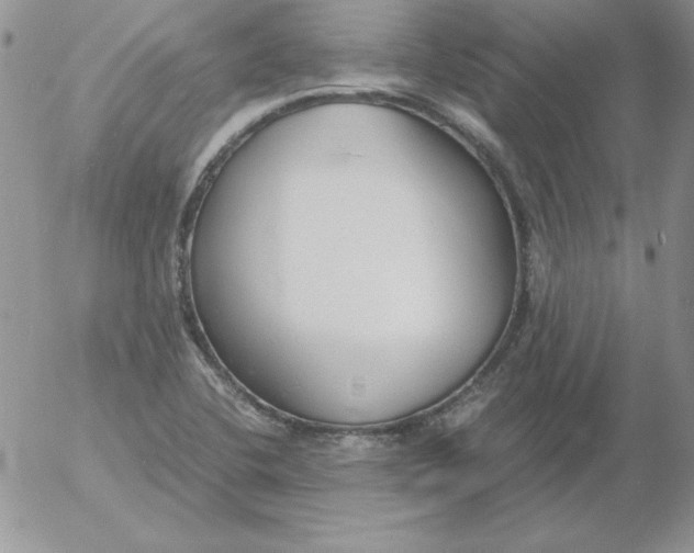 X0000055511412200509022046