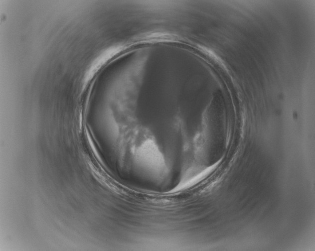 X0000055511413200509022046