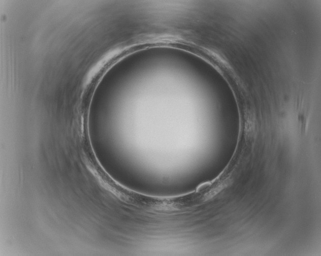 X0000055511414200509022046