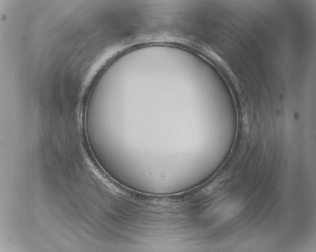 X0000055511416200509022046