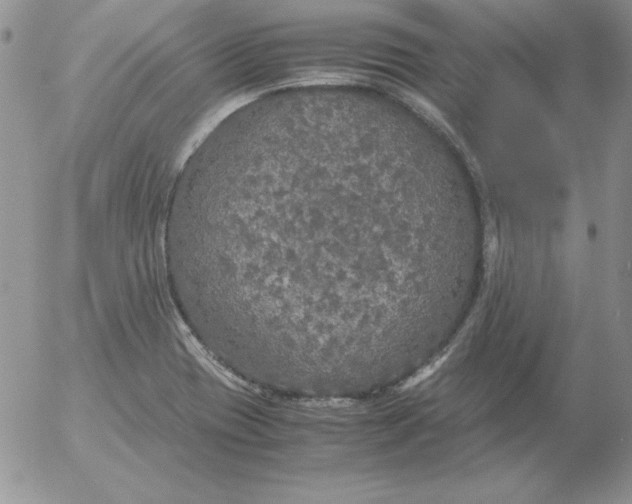 X0000055511417200509022046