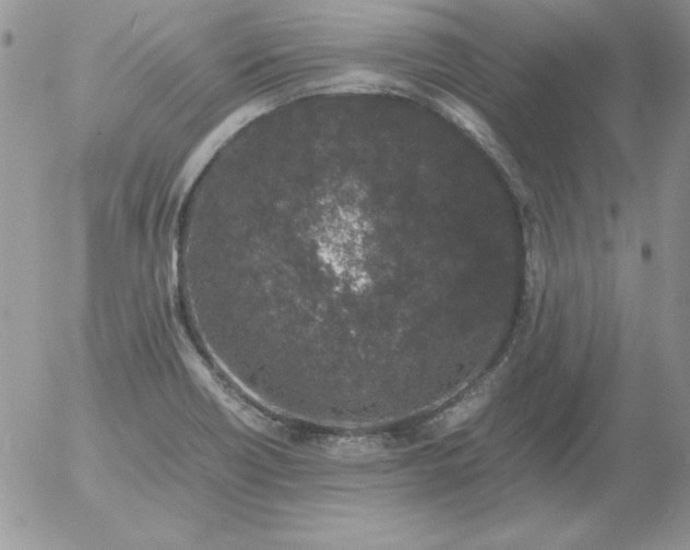 X0000055511418200509022046