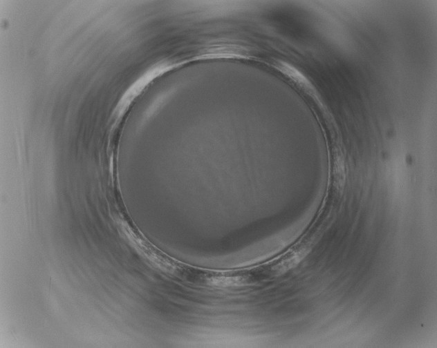 X0000055511419200509022046