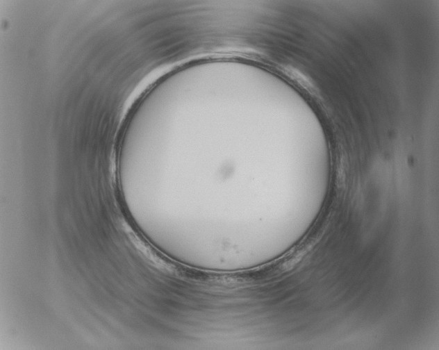 X0000055511420200509022046