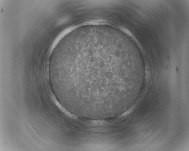 X0000055511421200509022046