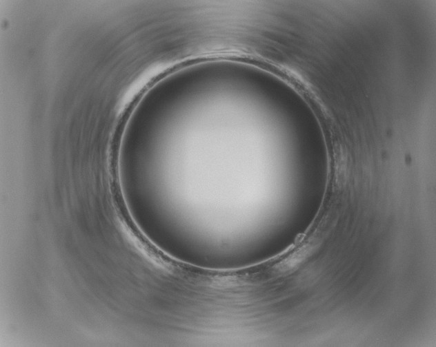 X0000055511422200509022046