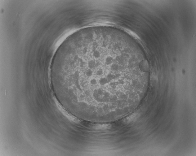 X0000055511423200509022046