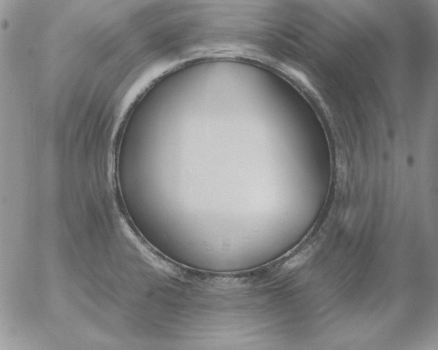 X0000055511424200509022046