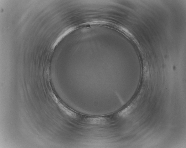 X0000055511425200509022046