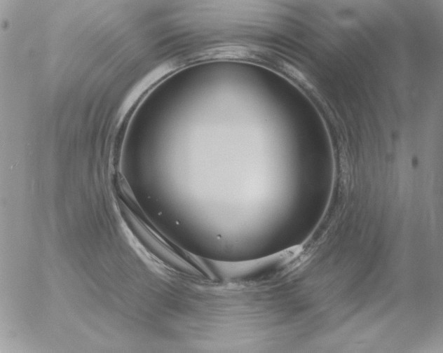 X0000055511426200509022046