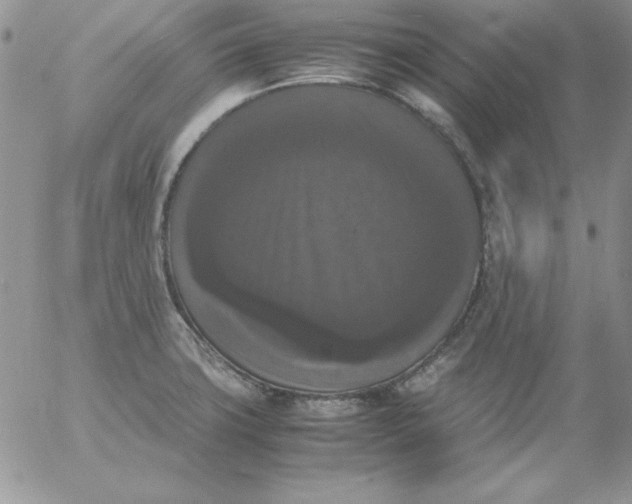 X0000055511427200509022046