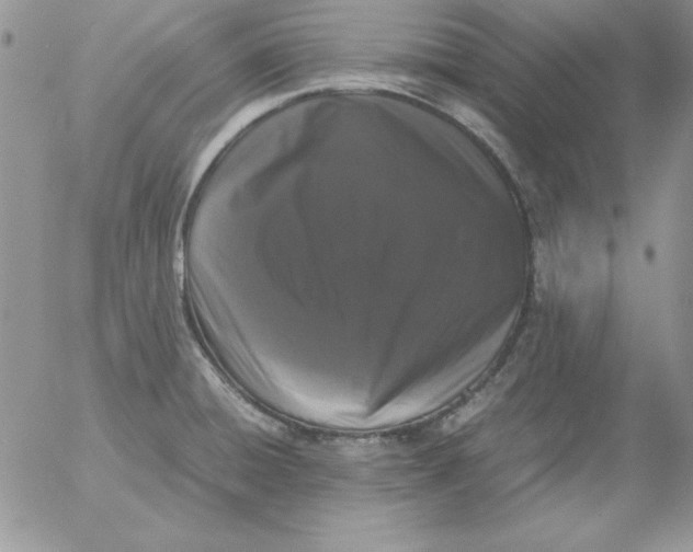 X0000055511428200509022046