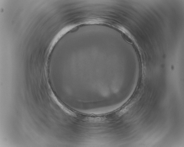 X0000055511429200509022046