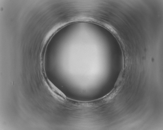 X0000055511430200509022046