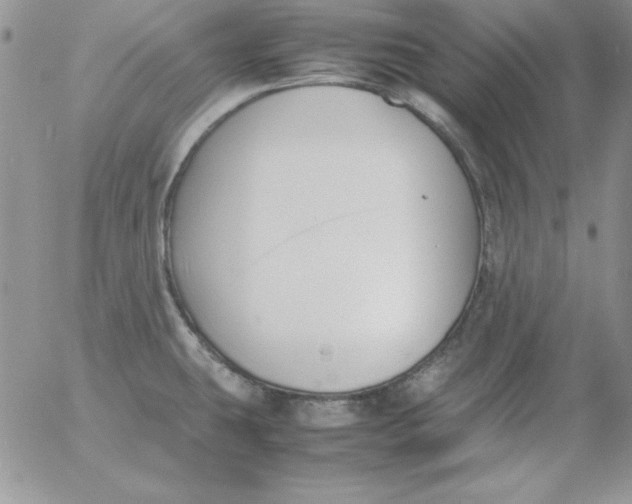 X0000055511431200509022046