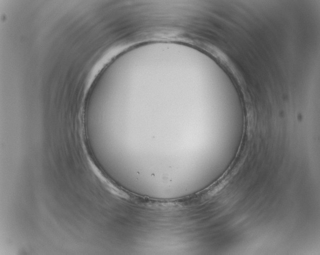 X0000055511432200509022046