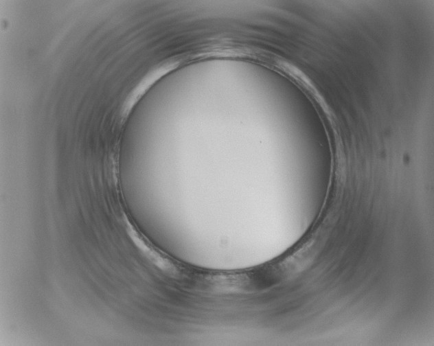 X0000055511433200509022046