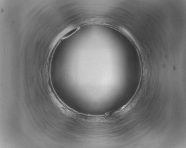 X0000055511434200509022046