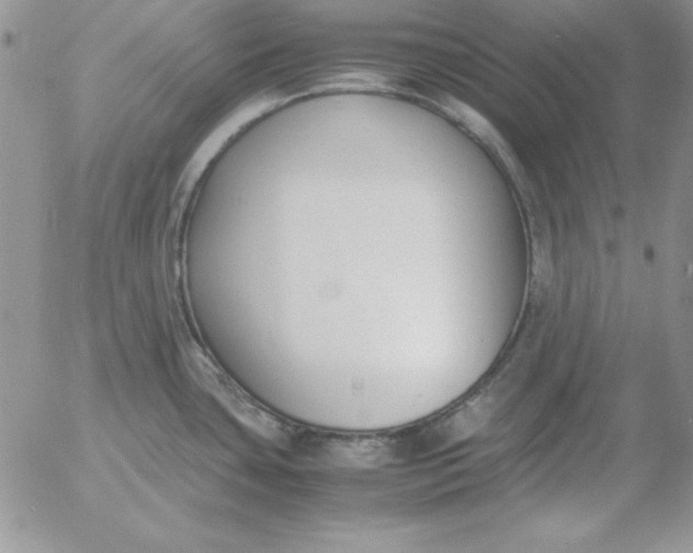 X0000055511435200509022046