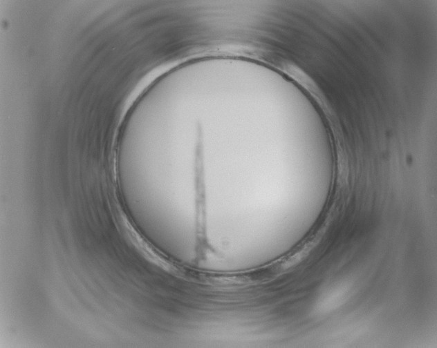 X0000055511436200509022046