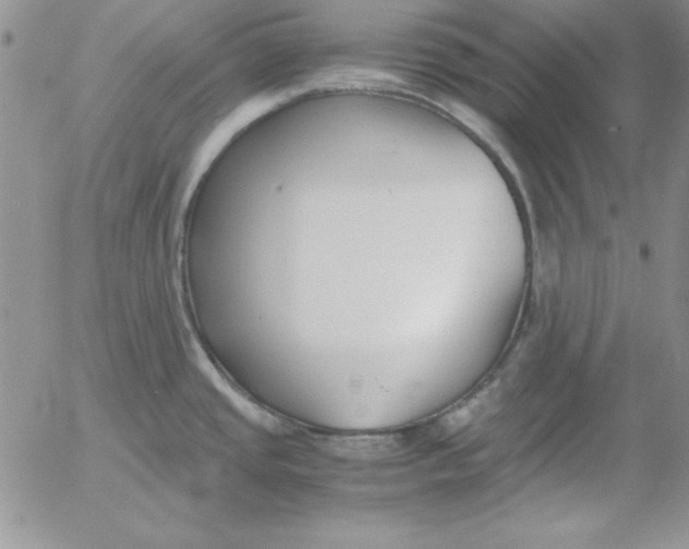 X0000055511437200509022046