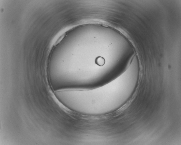 X0000055511438200509022046