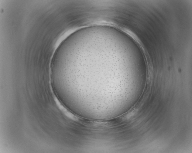 X0000055511439200509022046