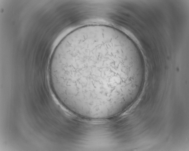 X0000055511440200509022046