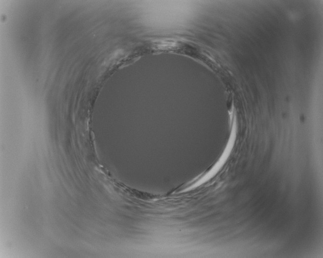 X0000055511441200509022045