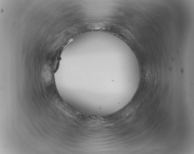 X0000055511442200509022045