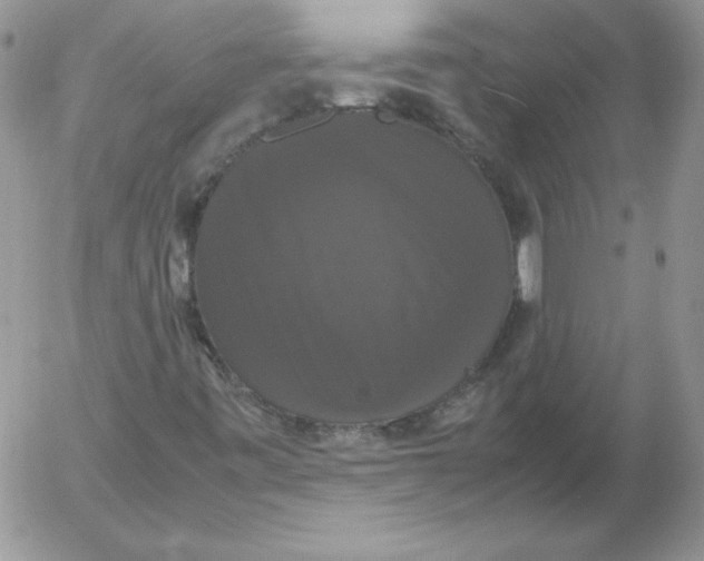 X0000055511443200509022045