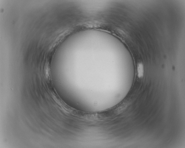 X0000055511444200509022045