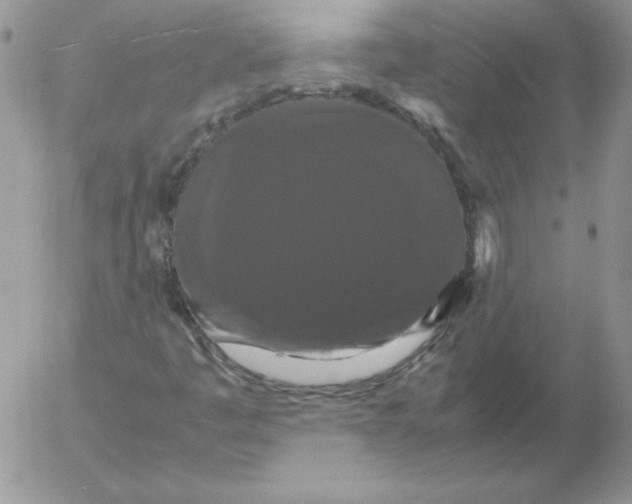 X0000055511445200509022045