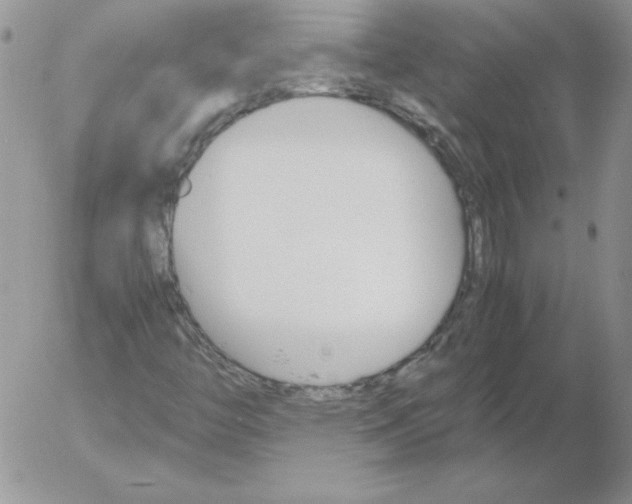 X0000055511446200509022045