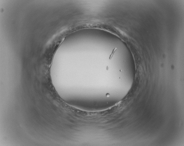 X0000055511447200509022045