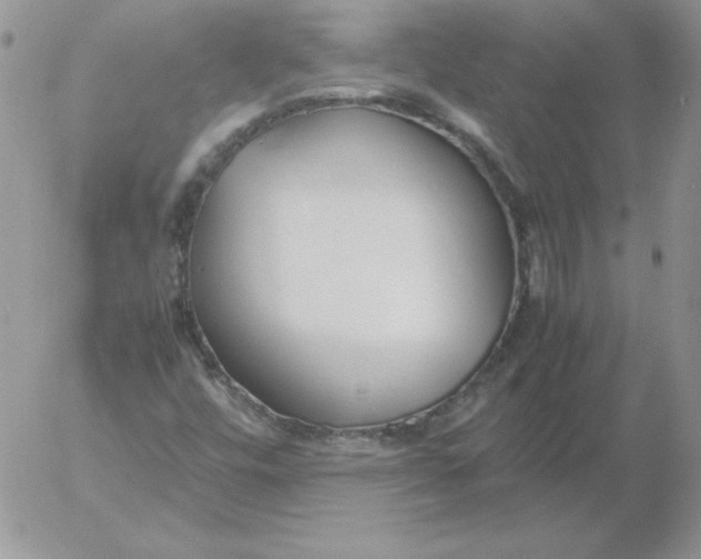 X0000055511448200509022045