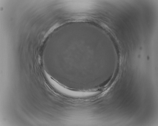 X0000055511449200509022045