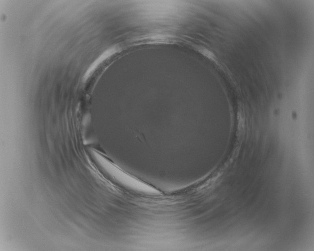 X0000055511450200509022045