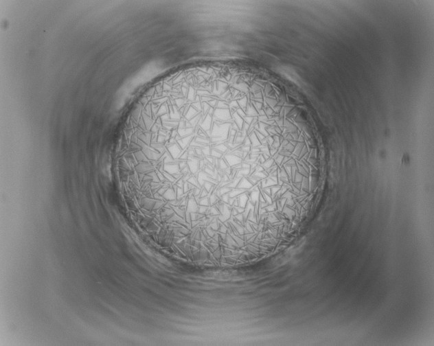 X0000055511451200509022045