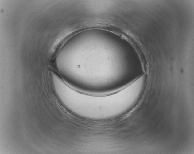 X0000055511453200509022045