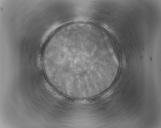 X0000055511454200509022045