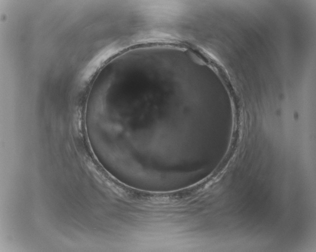 X0000055511455200509022045