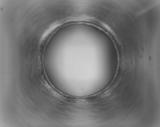 X0000055511456200509022045