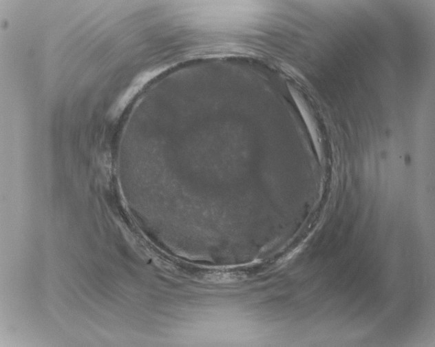 X0000055511457200509022045