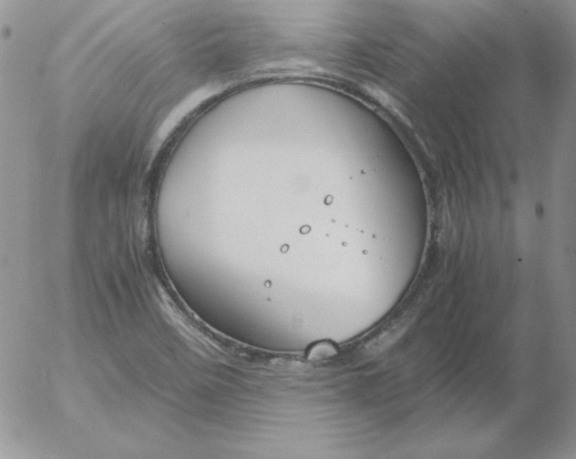 X0000055511458200509022045